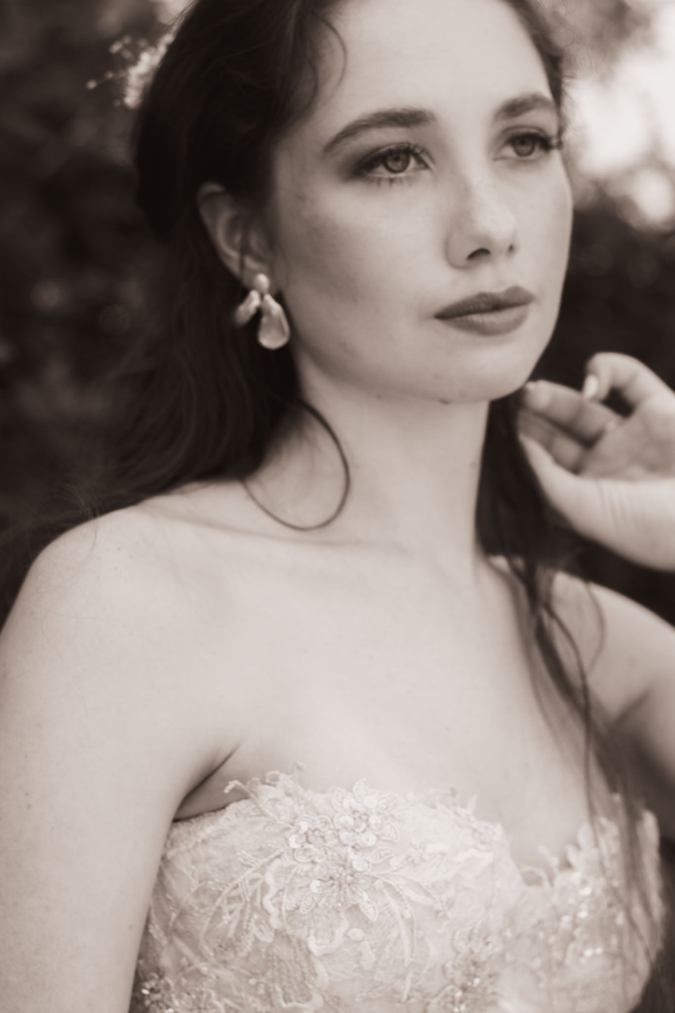 Moth earrings