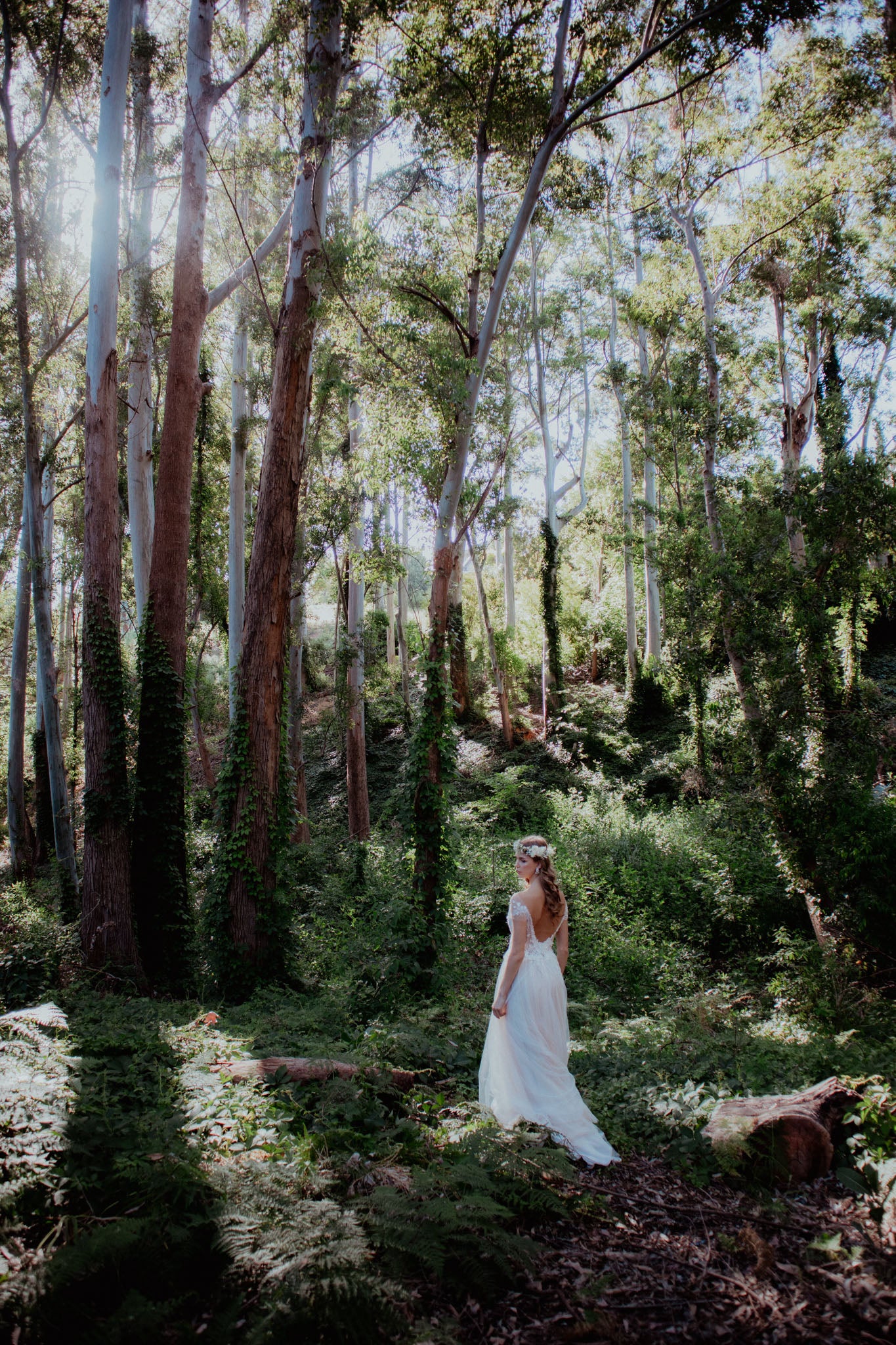 Cobweb Wedding Dress