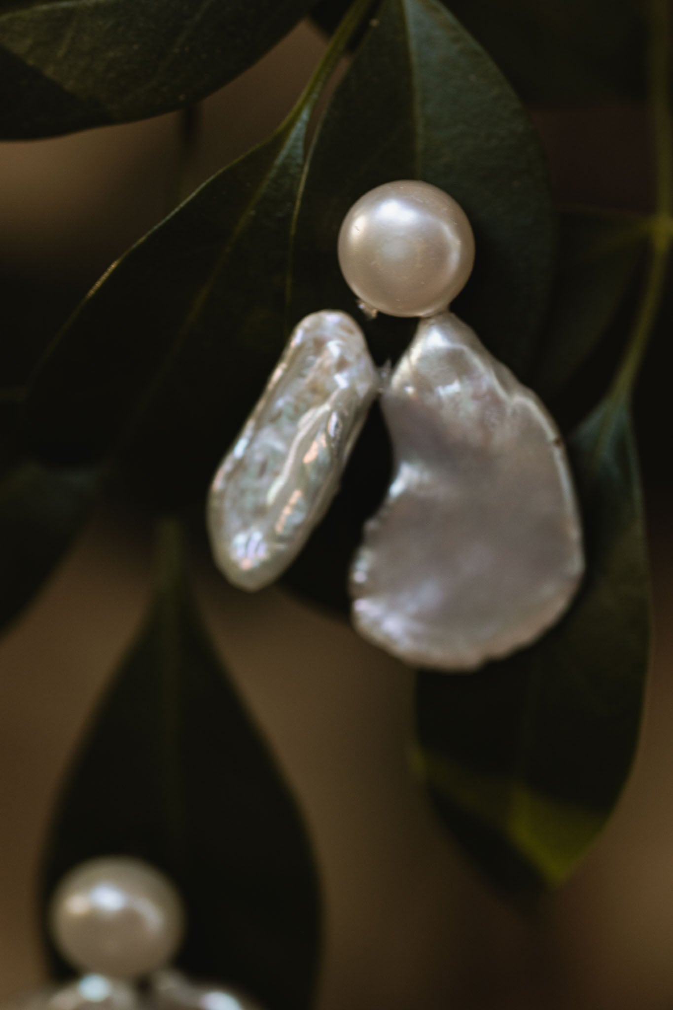 Moth earrings
