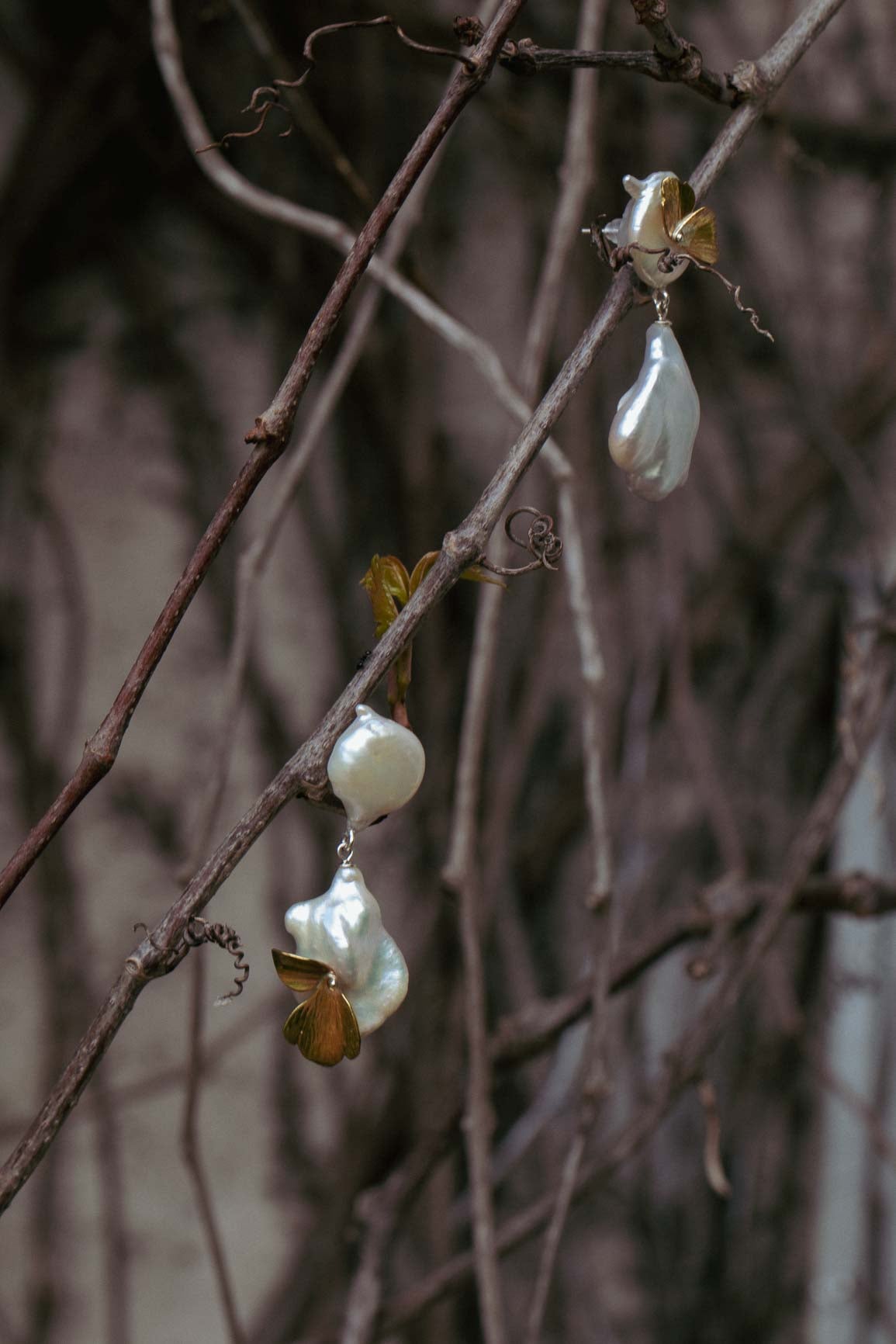 Swan earrings