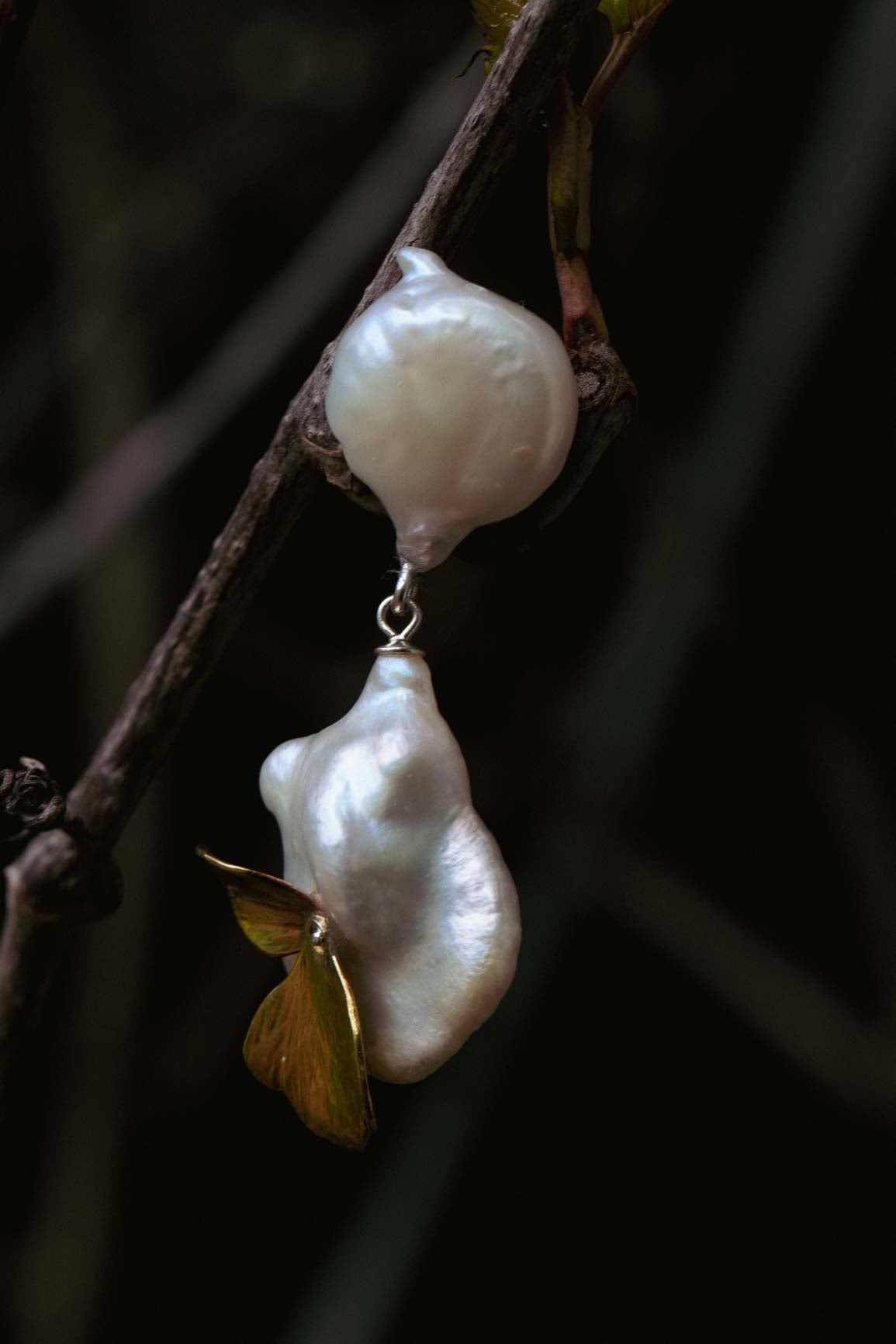 Swan earrings