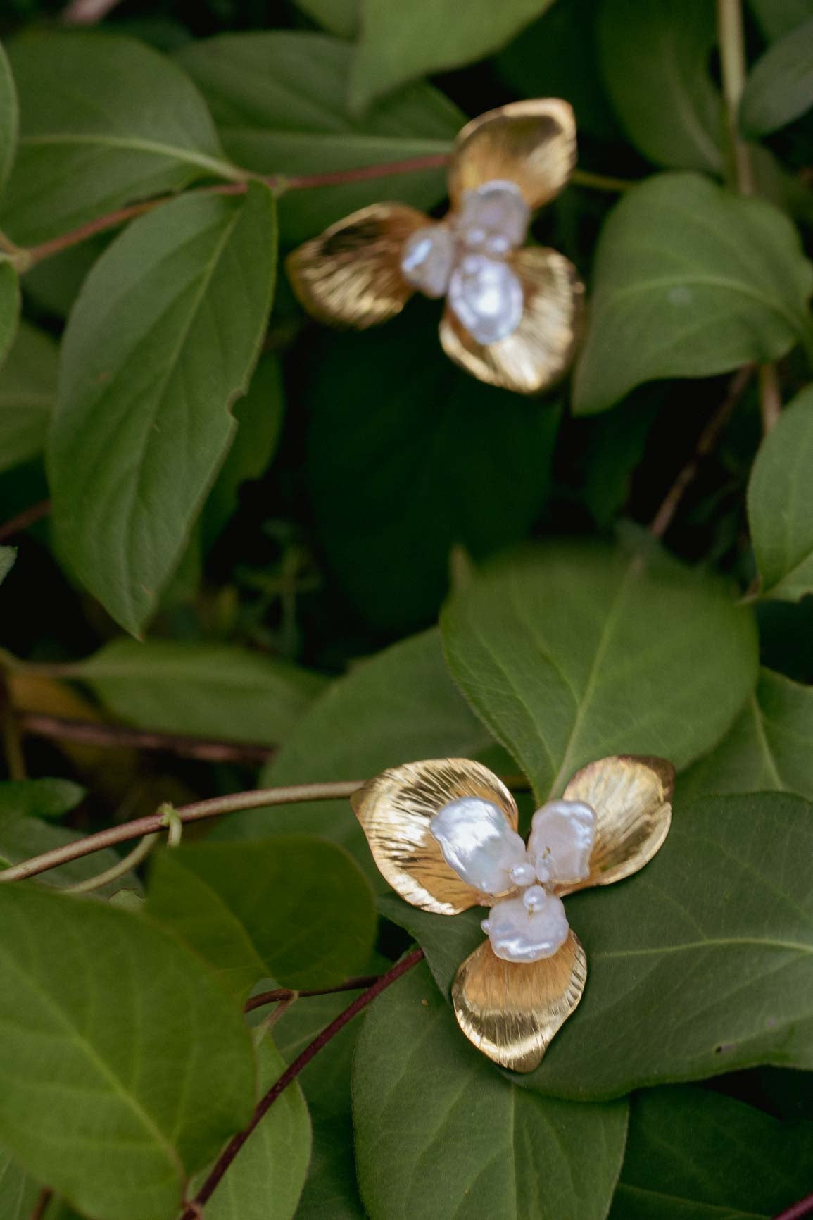 Orchid earrings