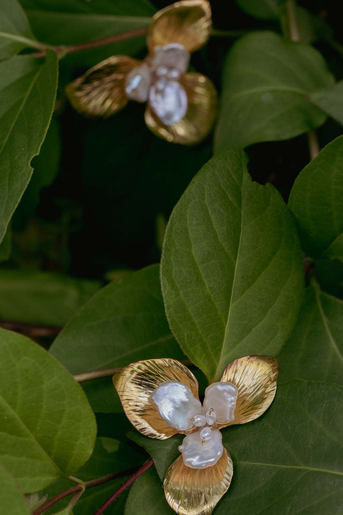 Orchid earrings