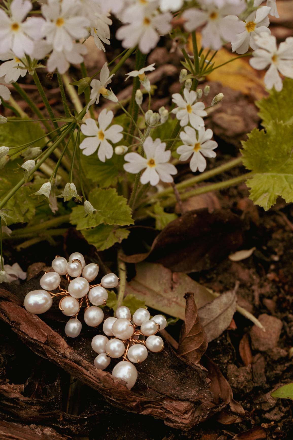 Serene earrings