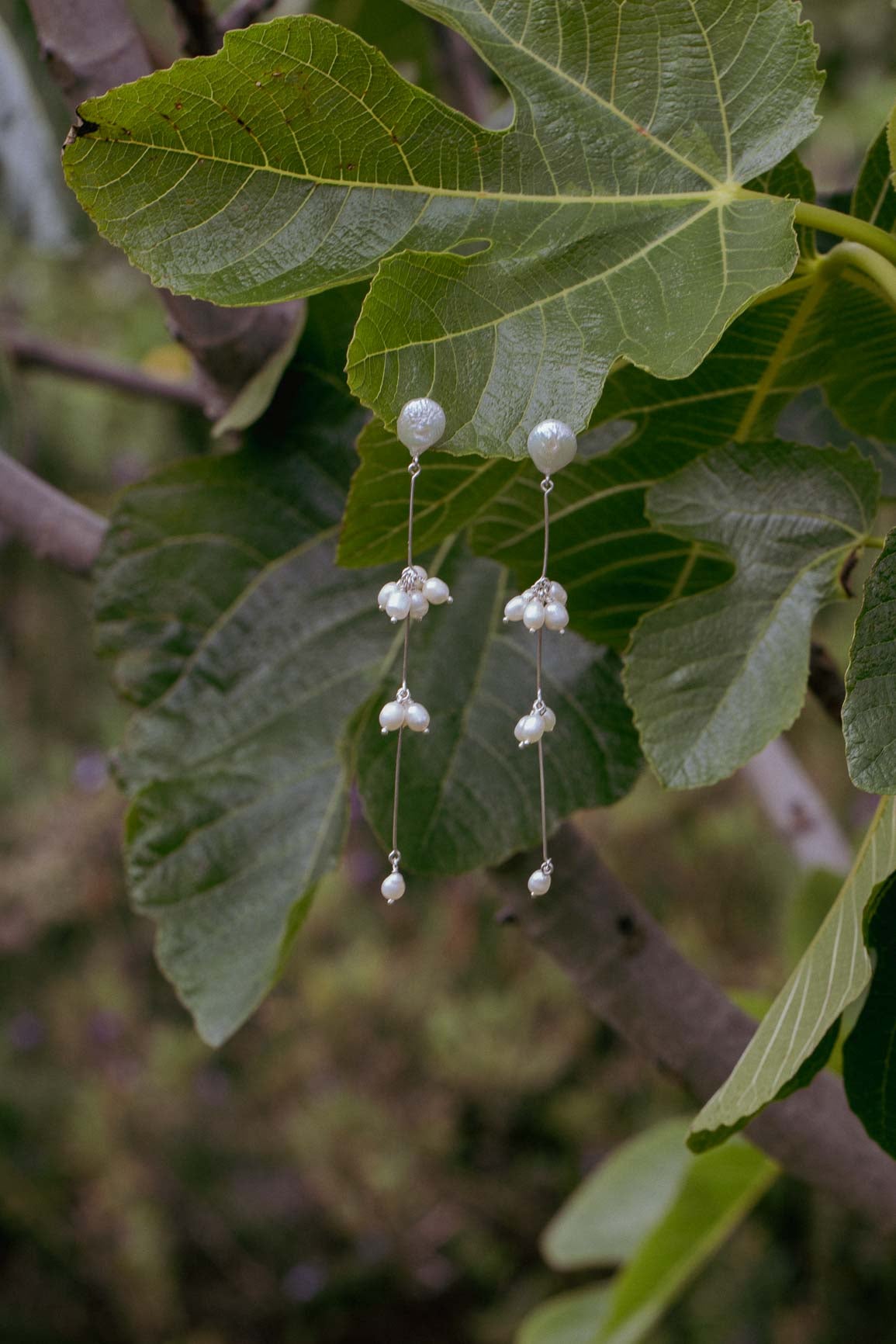 Jasmine earrings