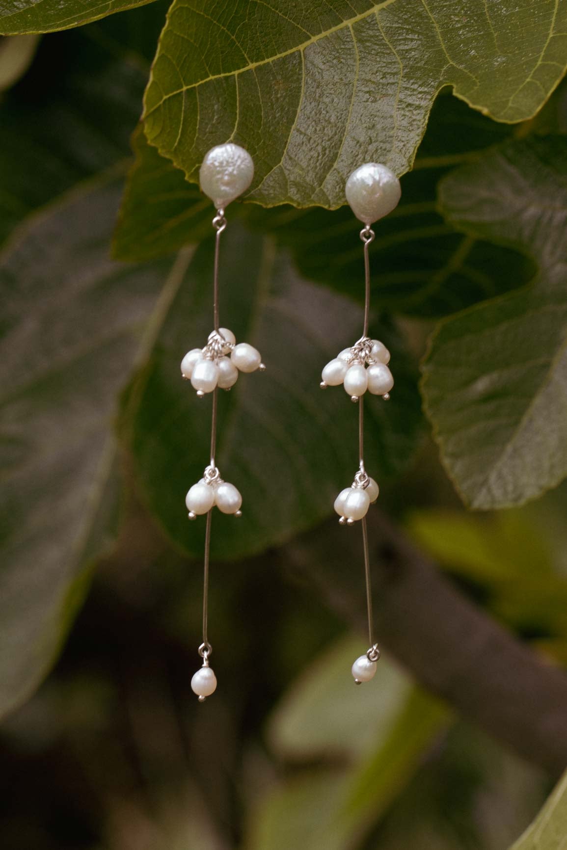 Jasmine earrings