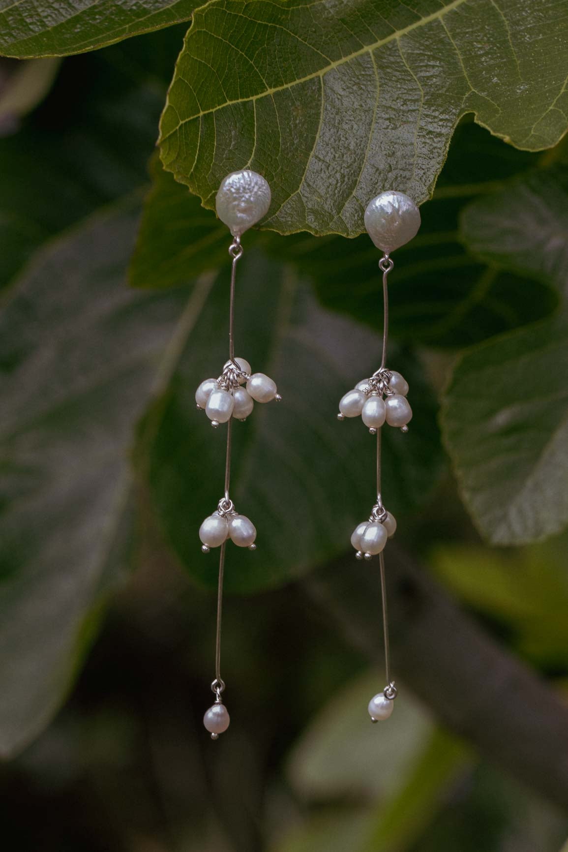 Jasmine earrings