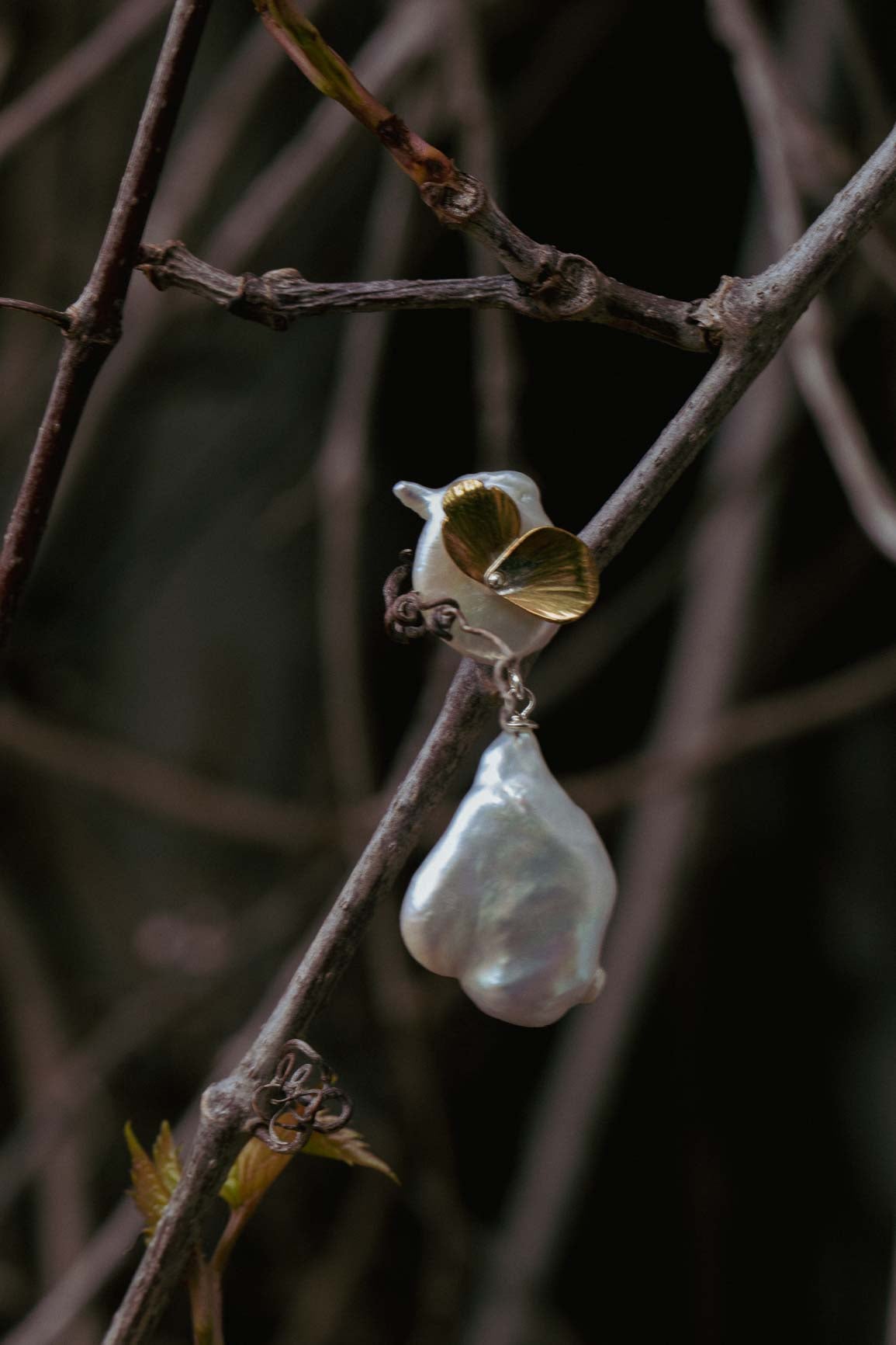 Swan earrings