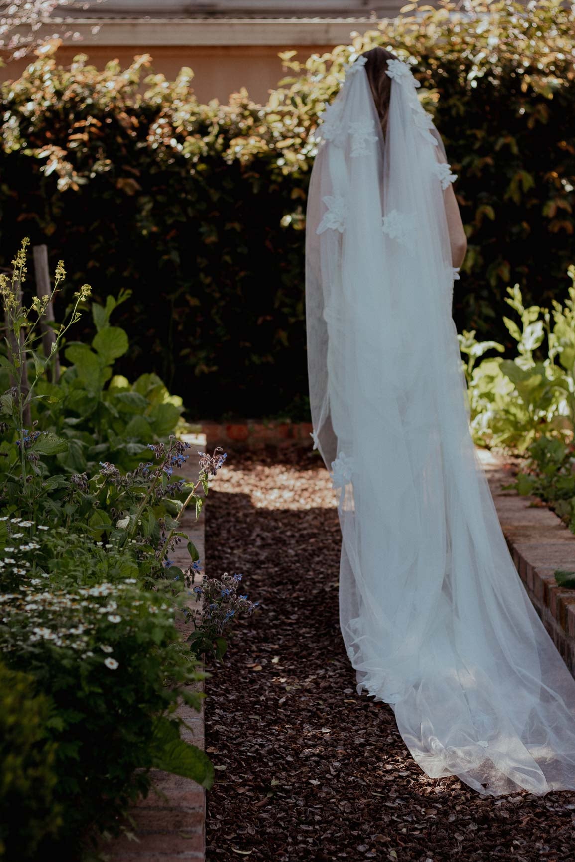 Lily veil