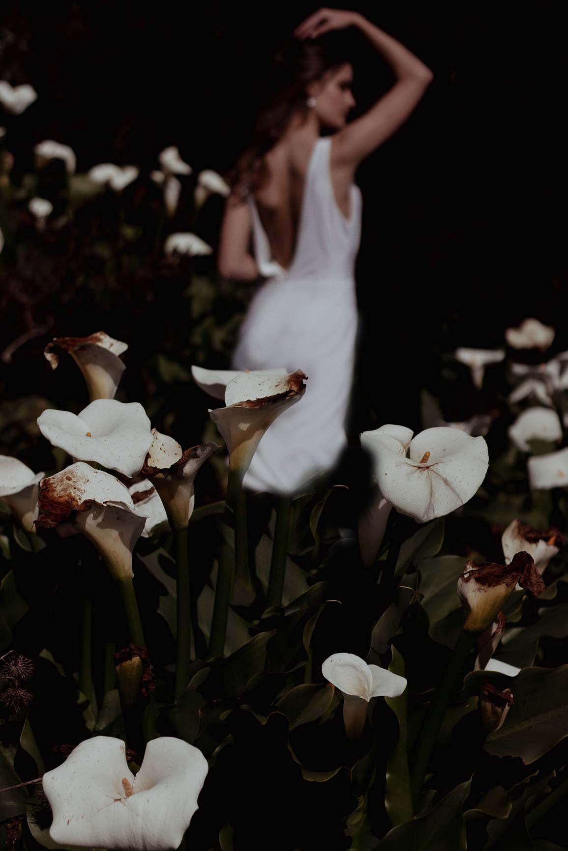 Lily Wedding Dress