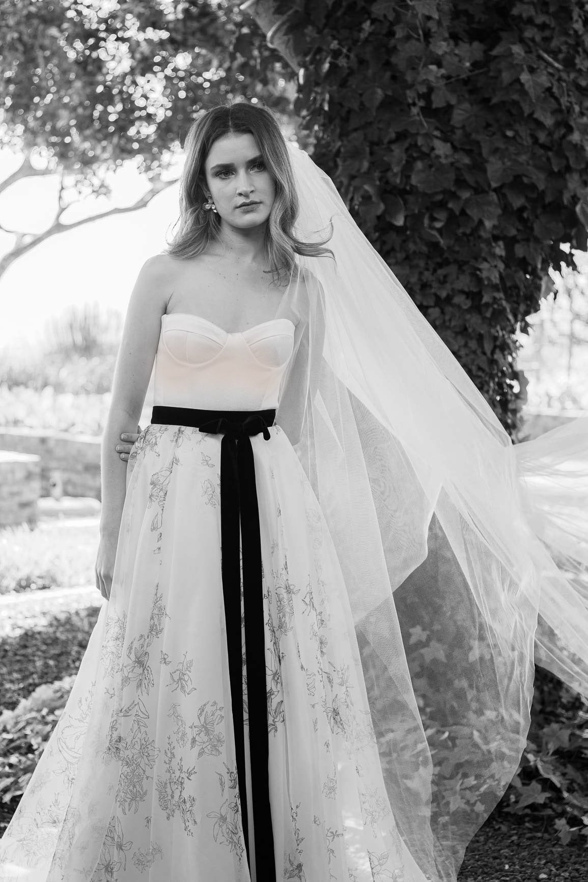 Orchid Veil