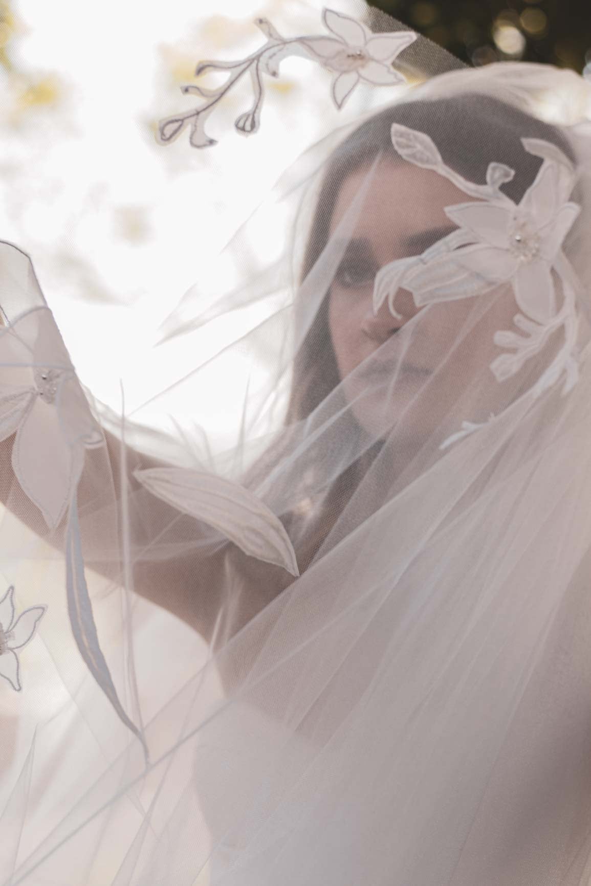 Orchid Veil