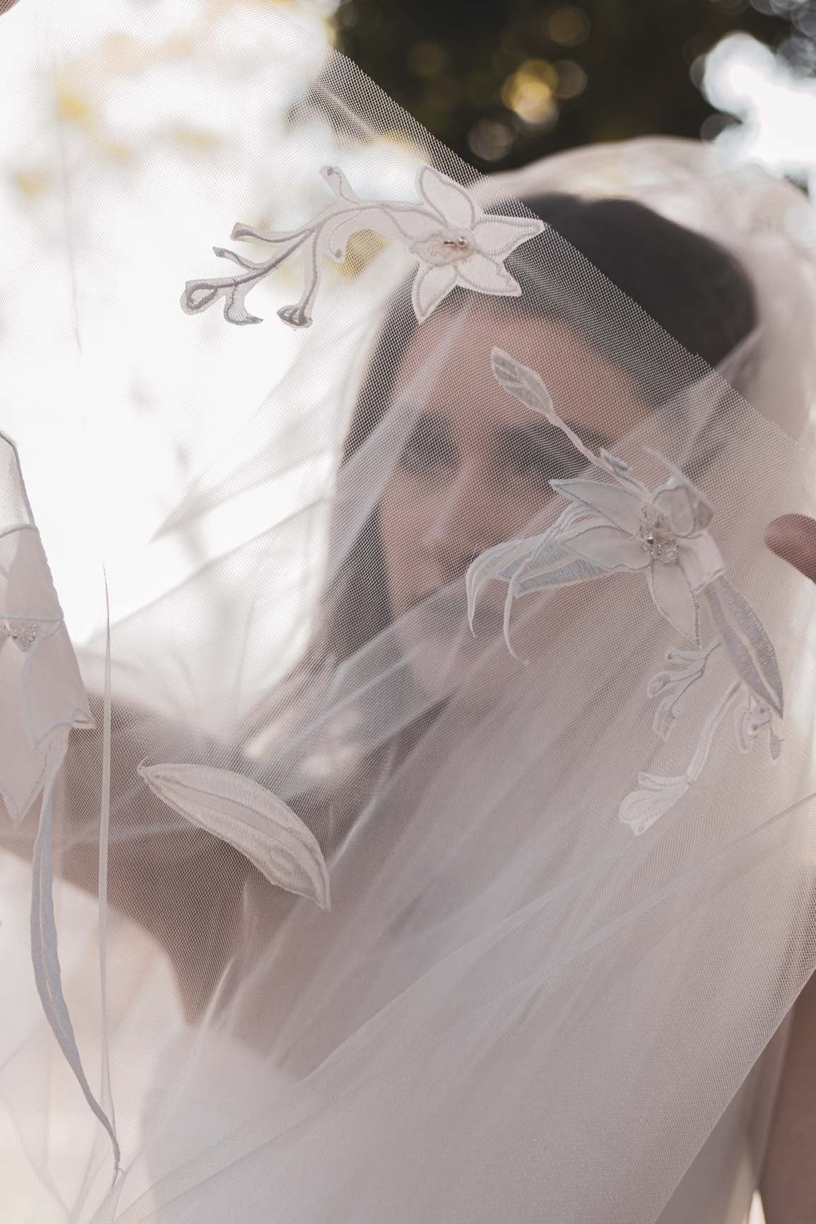 Orchid Veil