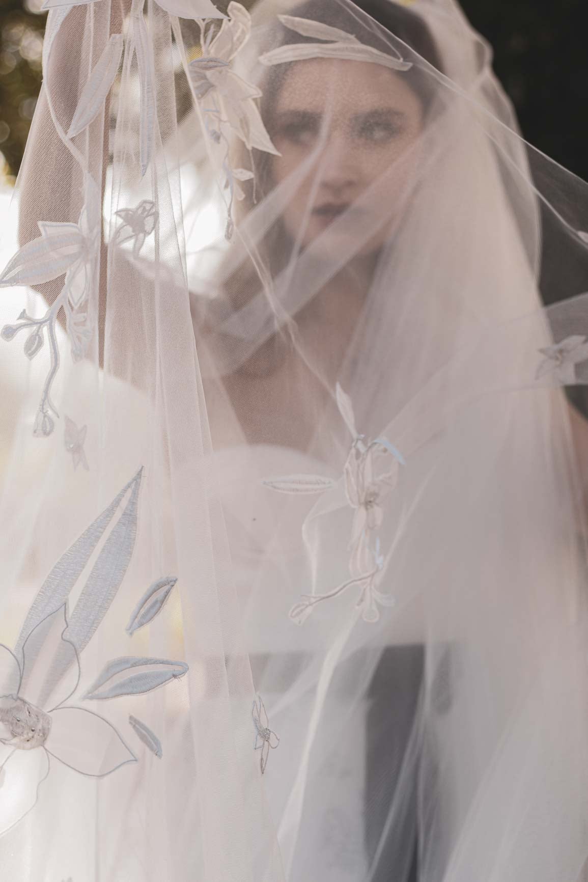 Orchid Veil