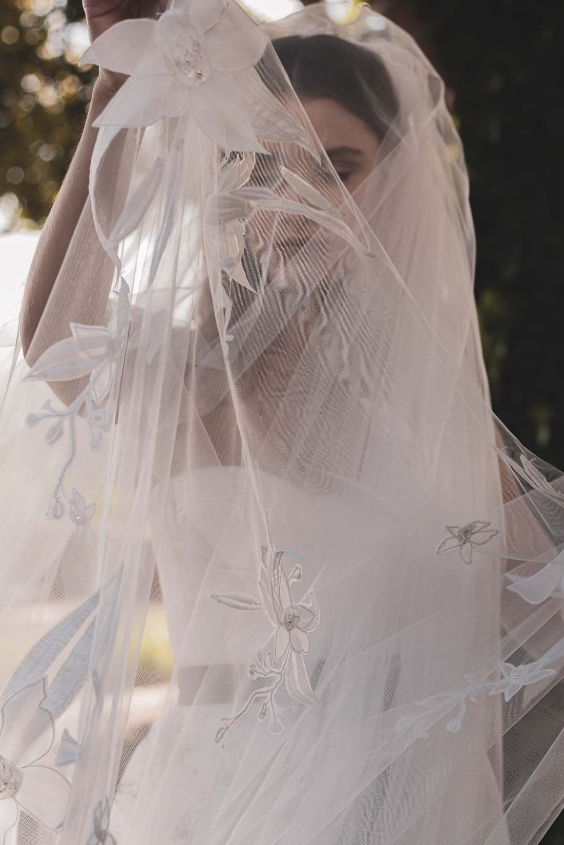 Orchid Veil