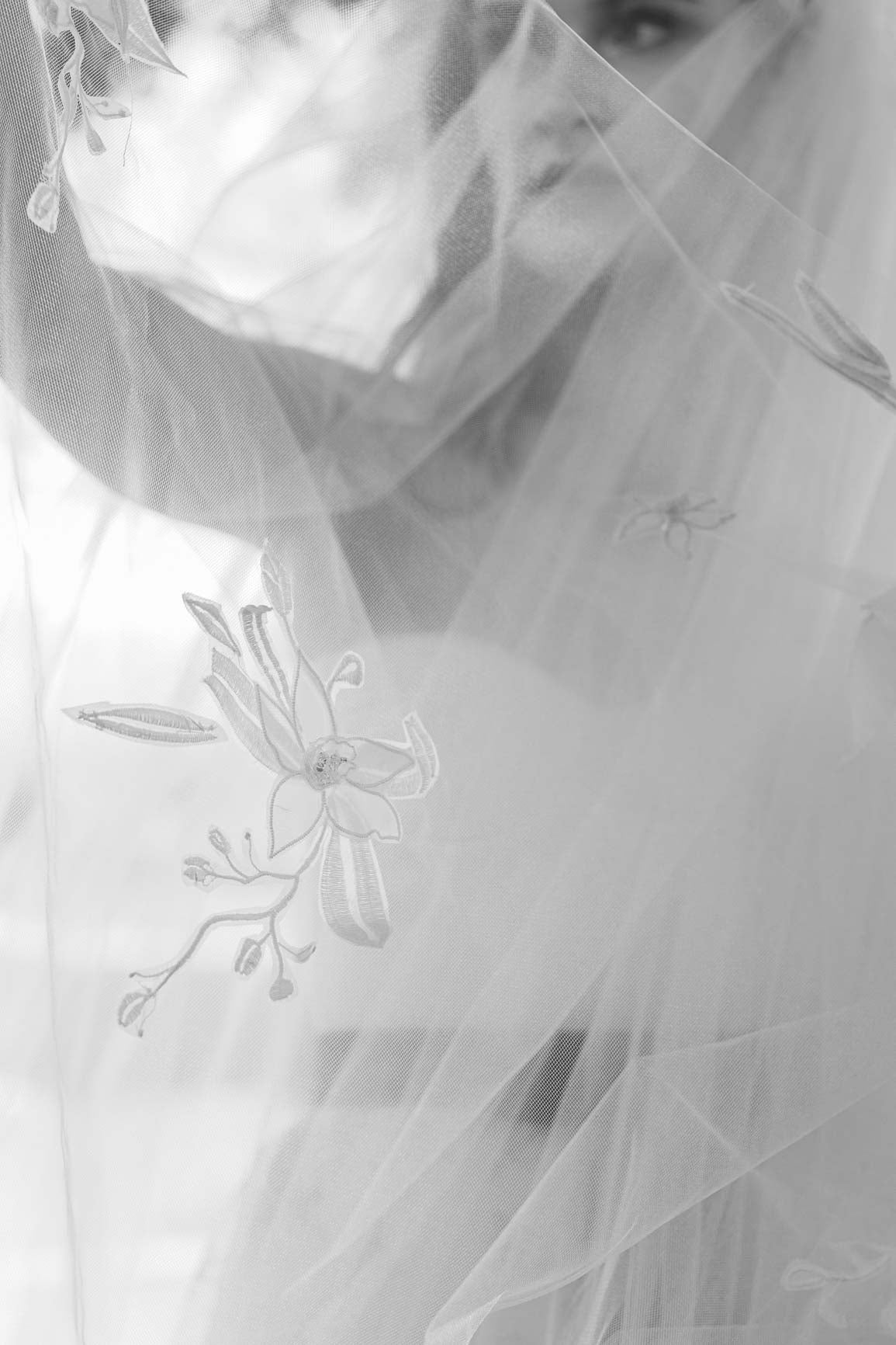 Orchid Veil