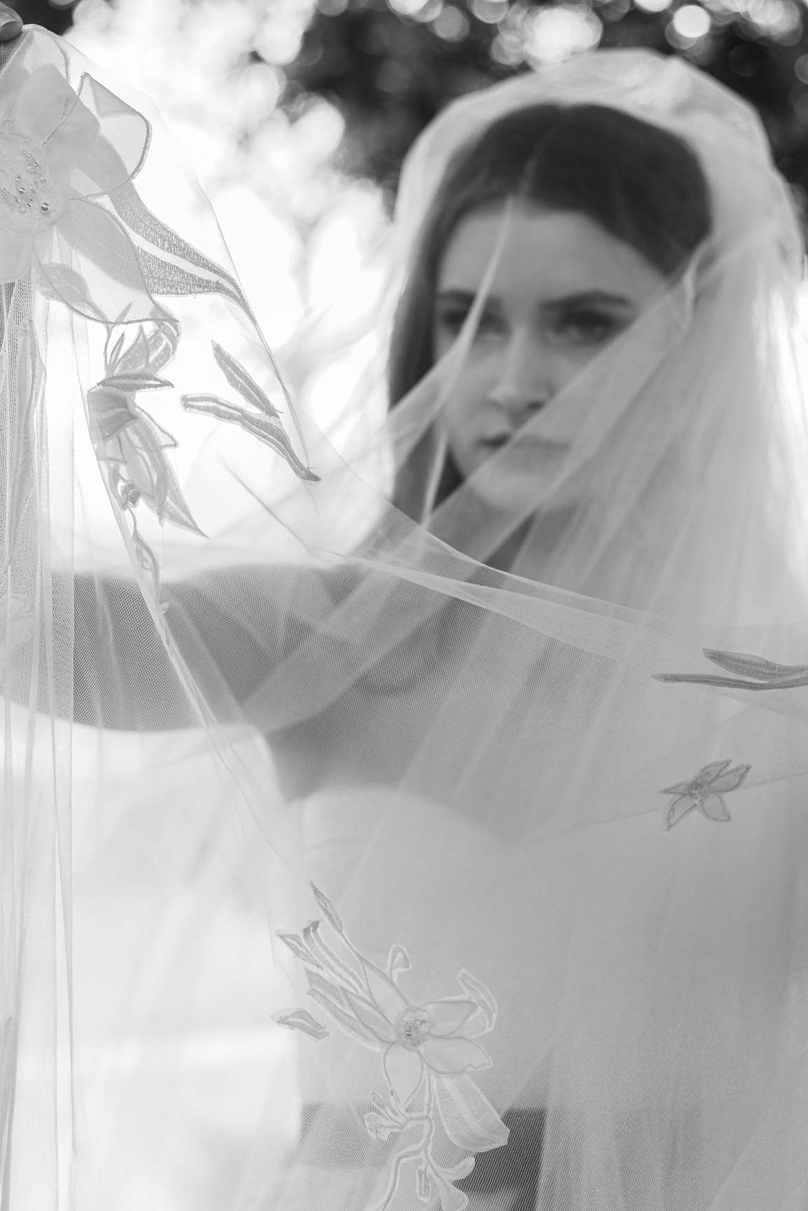 Orchid Veil