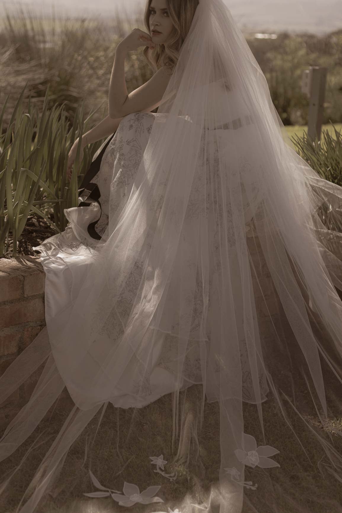 Orchid Veil