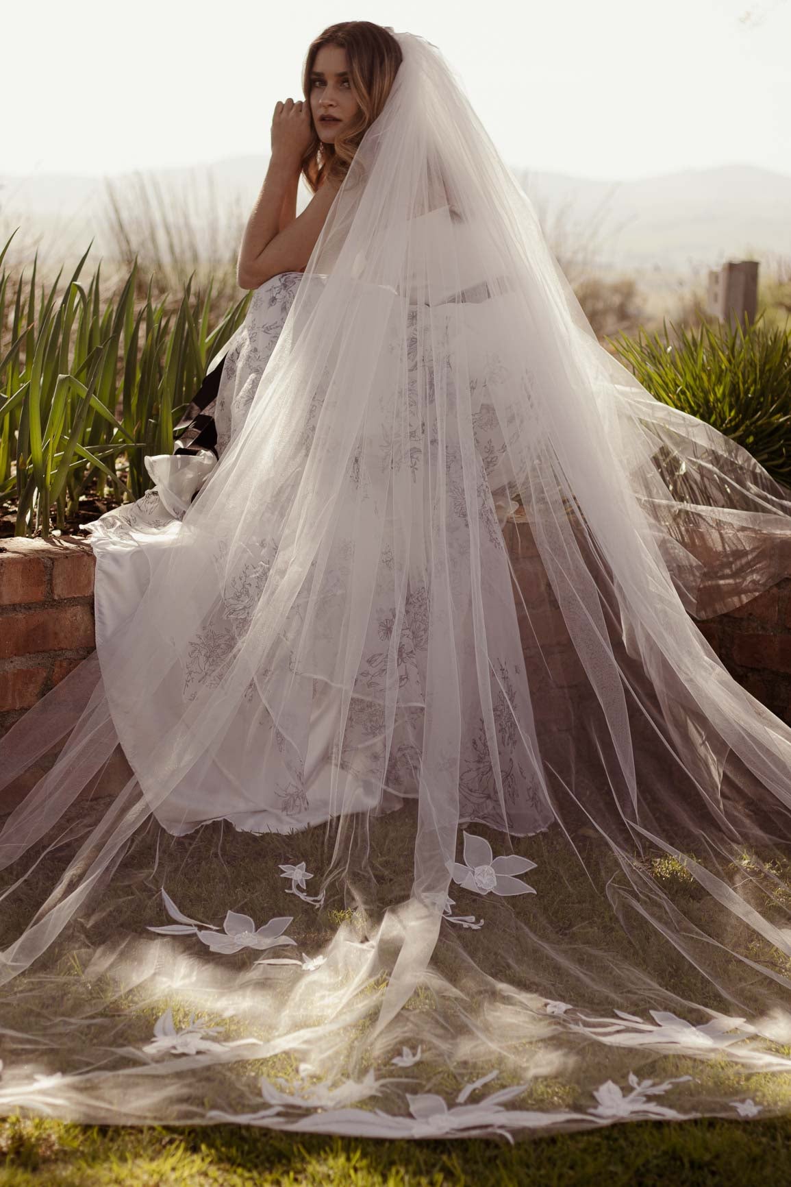 Orchid Veil