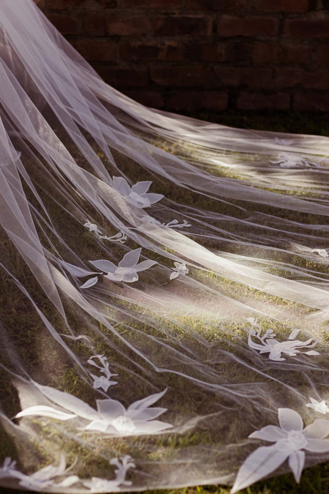 Orchid Veil
