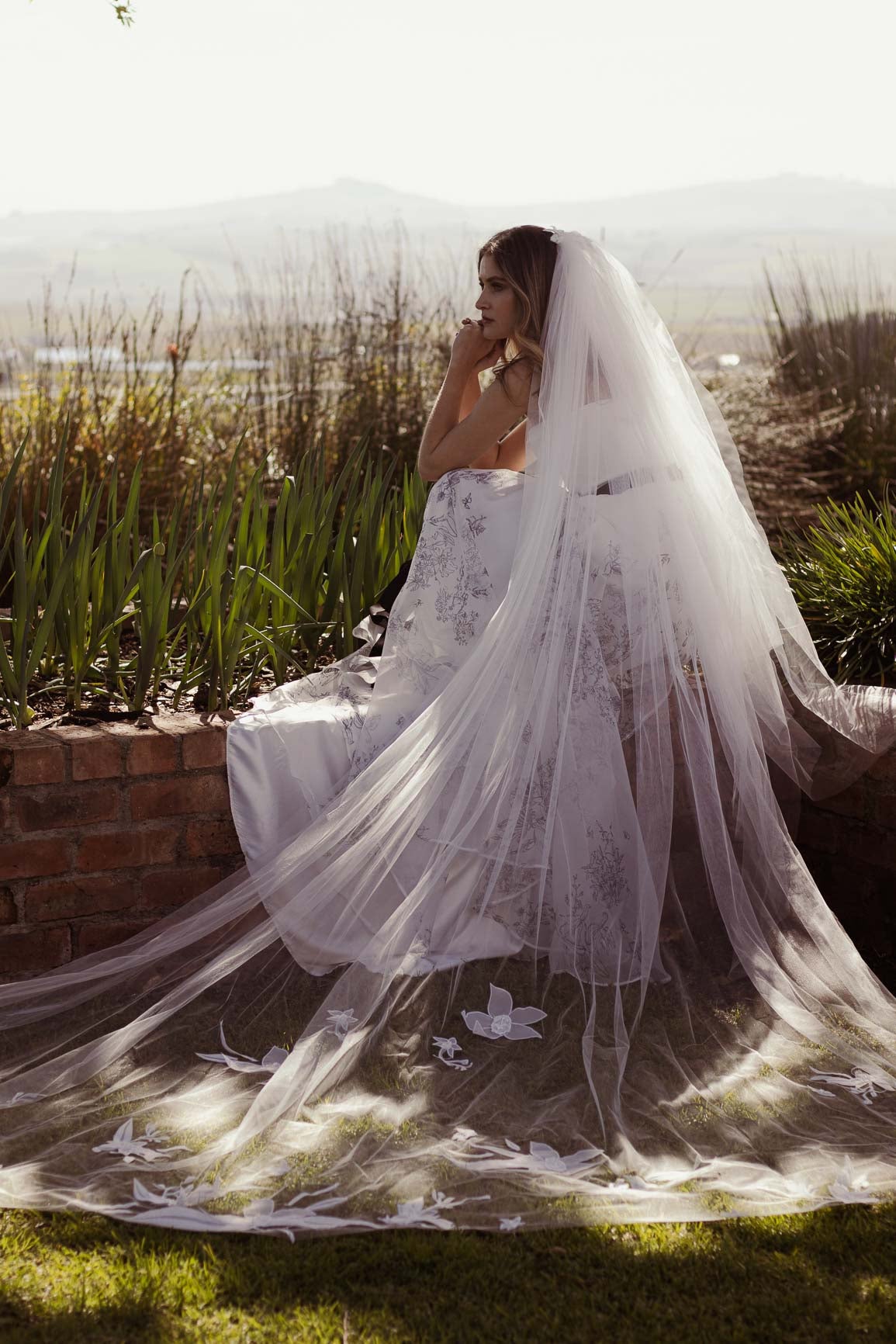 Orchid Veil