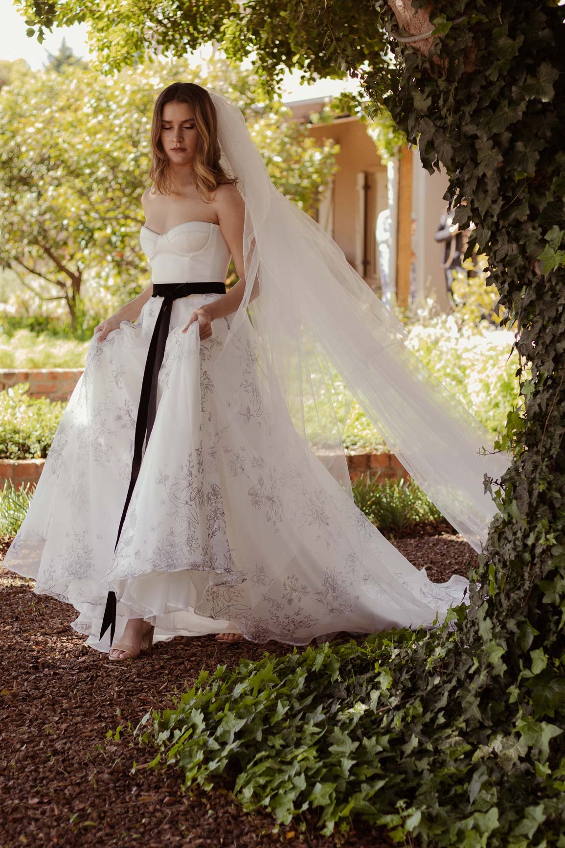 Orchid Veil