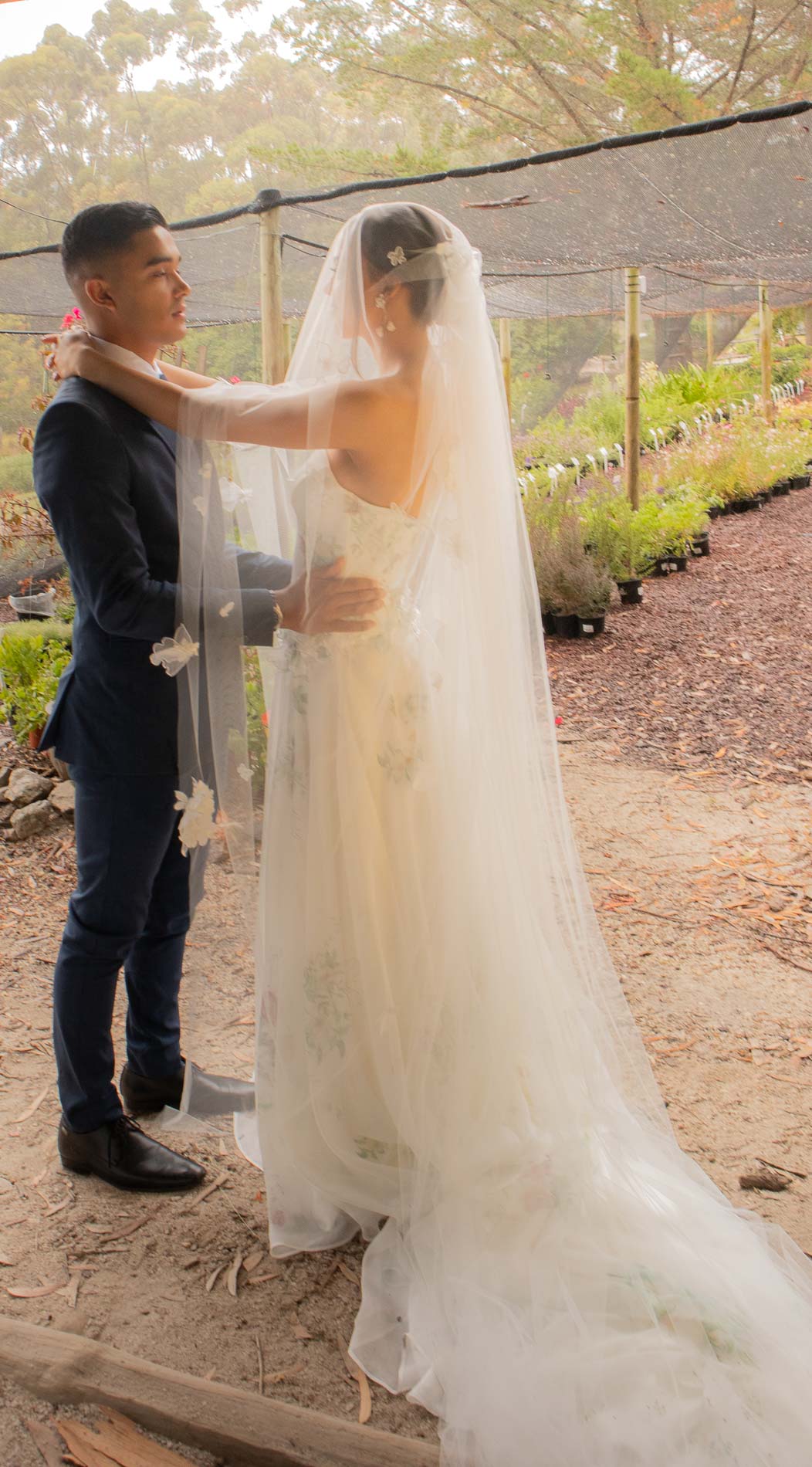 Valencia Veil