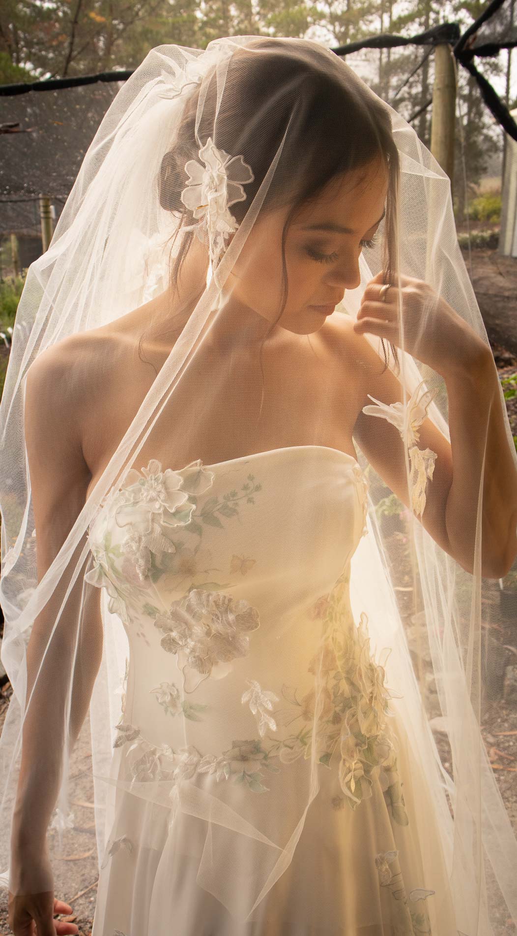 Valencia Veil