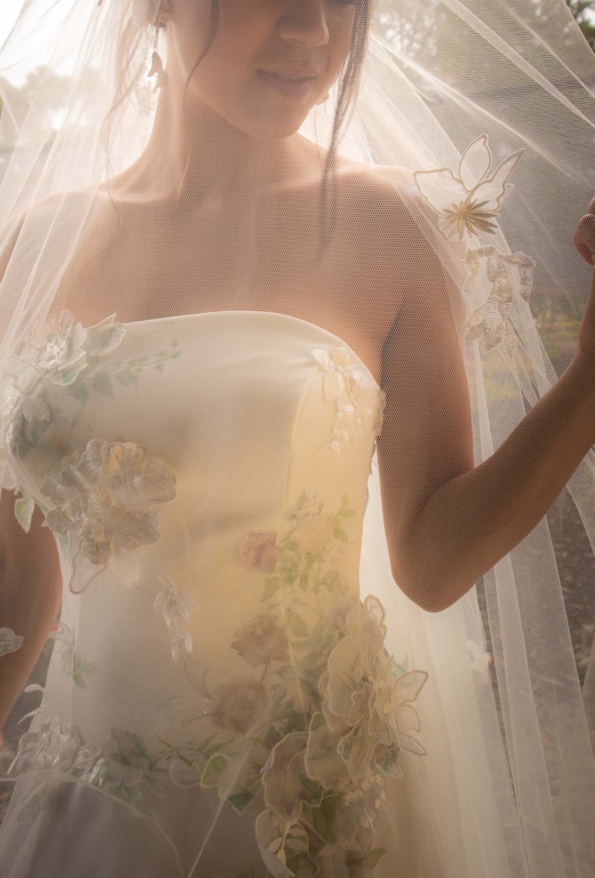Valencia Veil