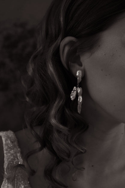 Winter earrings