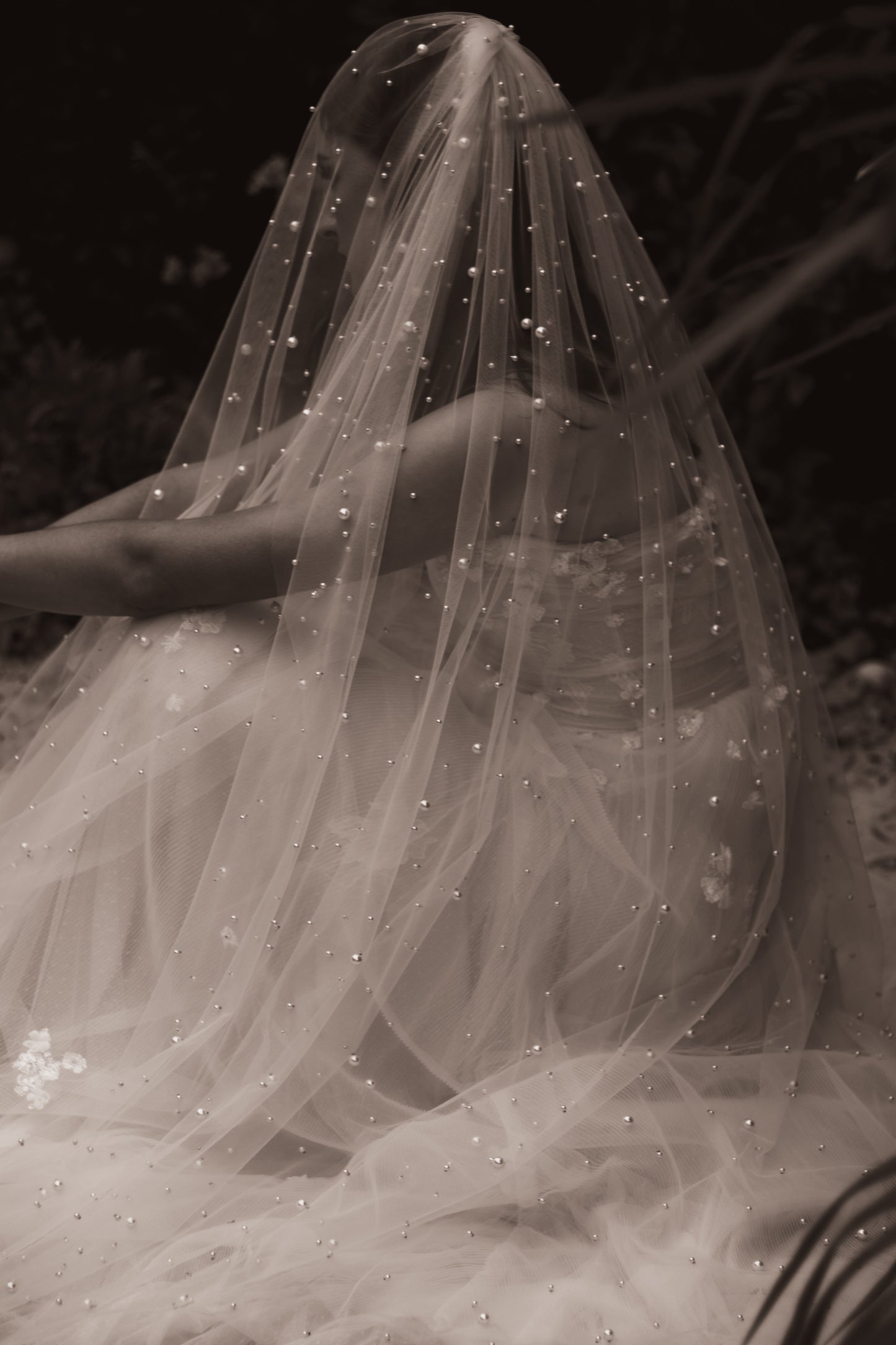 Oyster Veil
