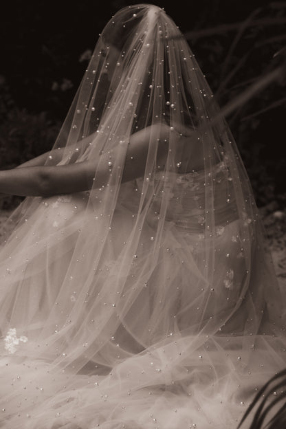 Oyster Veil