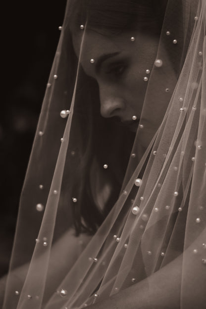 Oyster Veil