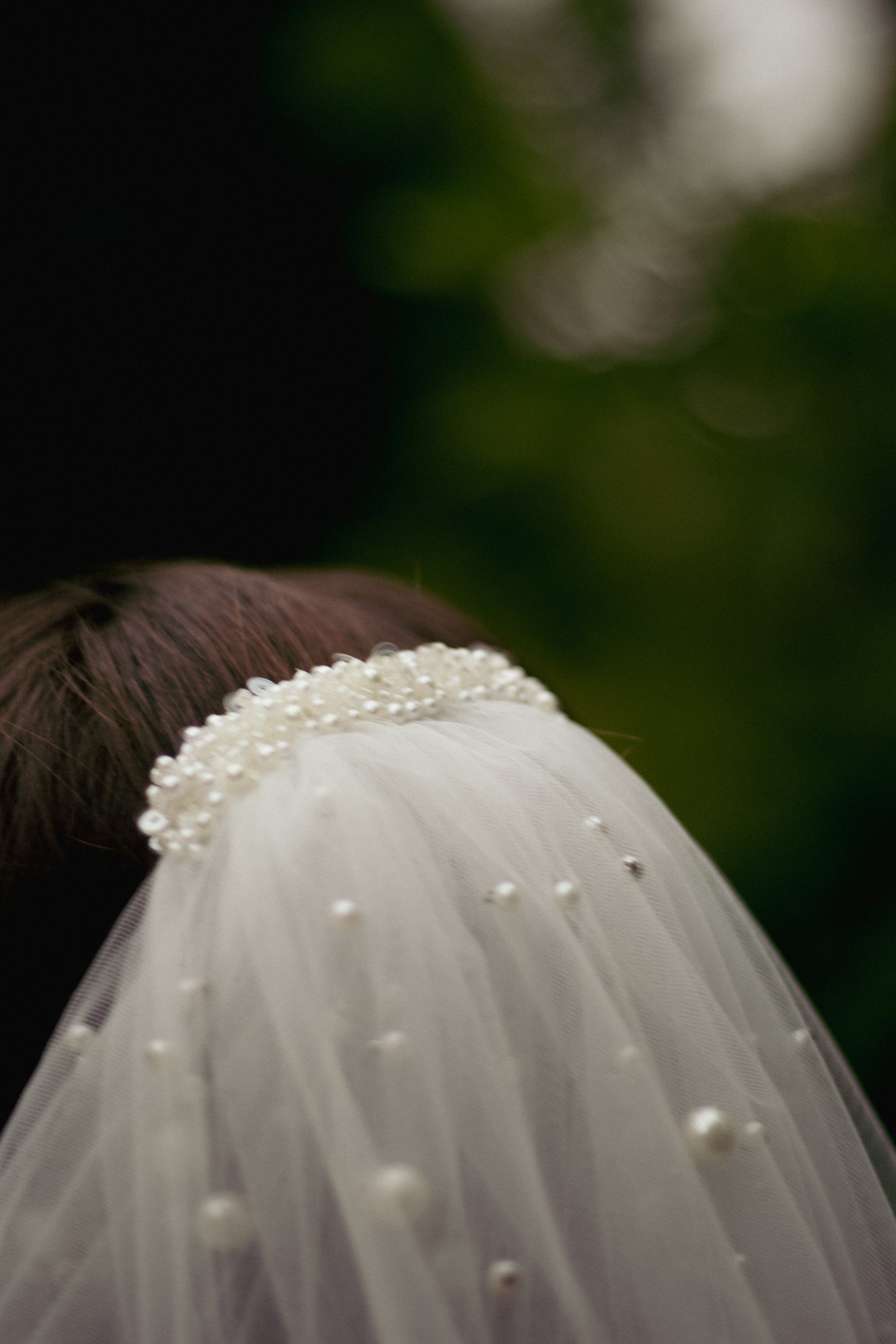 Oyster Veil