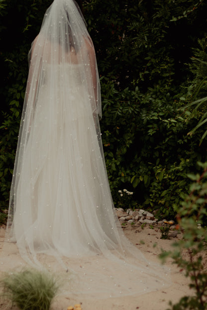 Oyster Veil