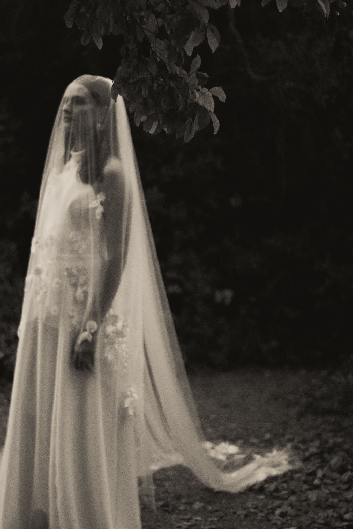 Dappled Shade Veil