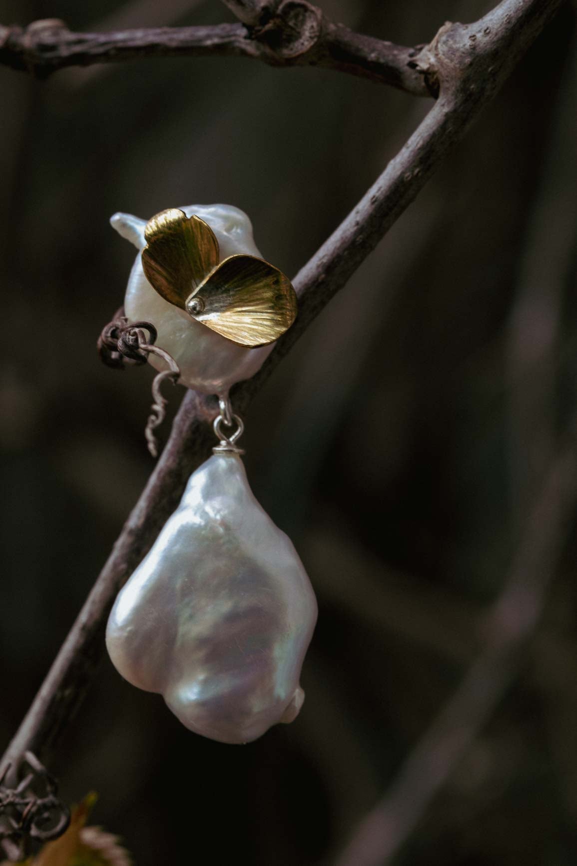 Swan earrings