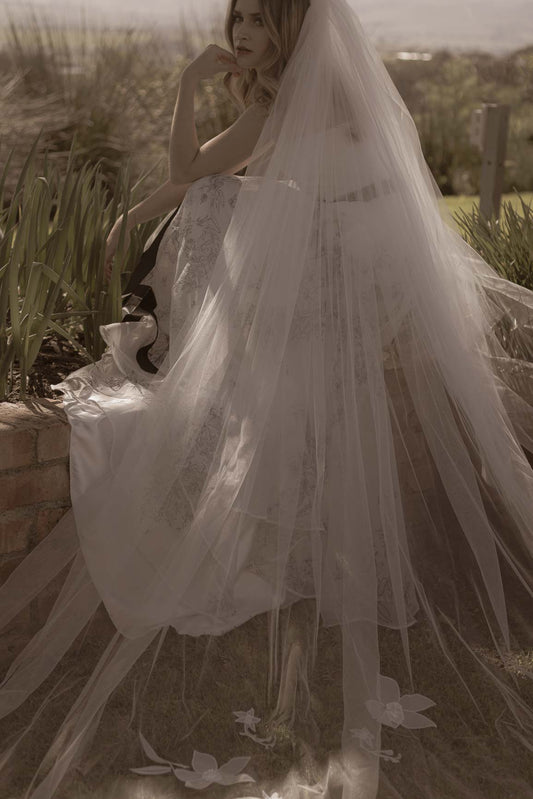 Orchid Veil